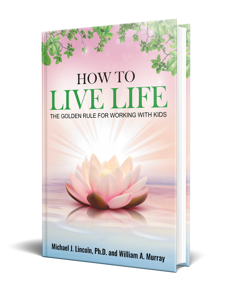 How to Live Life Book Image